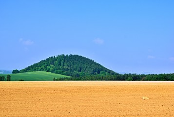 Forest hill under blue sky in a sunny day