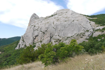 sheer cliff in the forest surrounded by clouds
