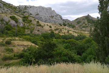 Fototapeta na wymiar rocky hills with green trees and dried herbs of scorching sun