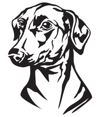 Decorative portrait of Dog German Pinscher vector illustration