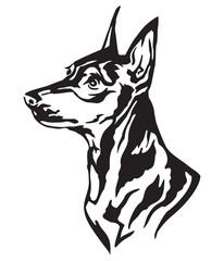 Decorative portrait of Dog Miniature Pinscher vector illustration