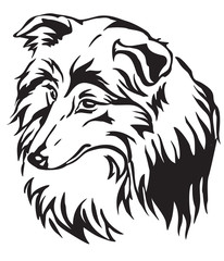 Decorative portrait of Dog Sheltie vector illustration
