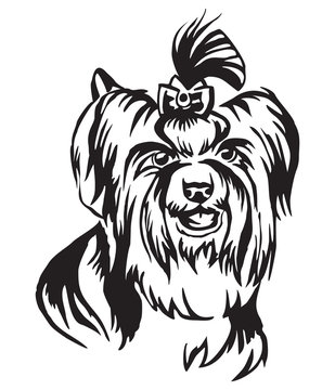 Decorative portrait of Dog Biewer Terrier vector illustration
