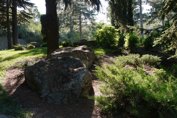 Fototapeta premium A picturesque glade in a park with large stones lying in the shade near a tall tree with the penetrating rays of the sun through its branches.