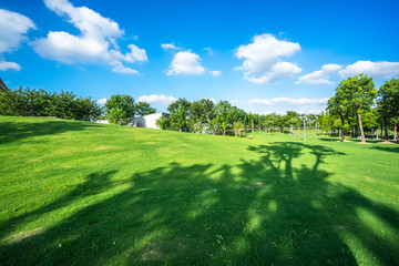 green lawn with city skyline in the park