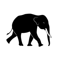 Silhouette walking elephant. Vector illustration isolated on white background.