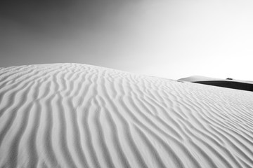 W&uuml;ste - Abu Dhabi