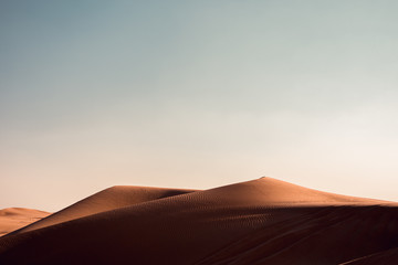 Fototapeta na wymiar Wüste - Abu Dhabi