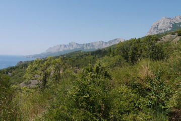 Obraz premium grass slopes on the background of high steep cliffs and the boundless black sea