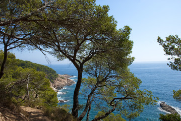 Fototapeta na wymiar Küstenlandschaft der Costa Brava zwischen Tamariu und Calella de Palafrugell, auf dem Wanderweg 