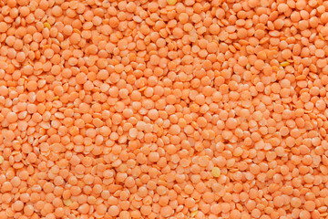 Raw red lentil texture