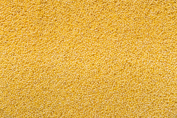Raw millet groats texture