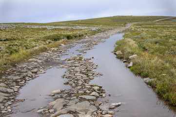 Big puddles on a stony road
