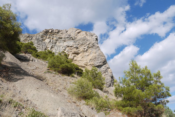 high acute cliff covered with trees on the blue sky background