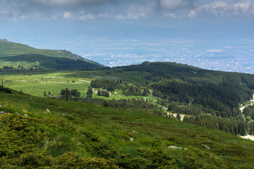 Fototapeta na wymiar Panorama with green hills at Vitosha Mountain, Sofia City Region, Bulgaria