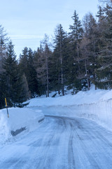 Fototapeta na wymiar Road through the winter forest
