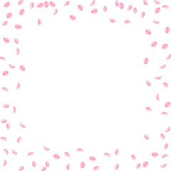 Fototapeta na wymiar Sakura petals falling down. Romantic pink silky small flowers. Sparse flying cherry petals. 