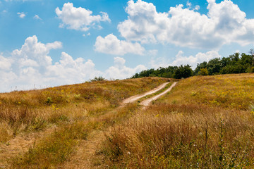 Summer landscape with hill, dirt road, meadow and blue sky with white clouds