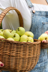 Junge Frau hält einen Korb mit Äpfeln und einen Apfel in der Hand