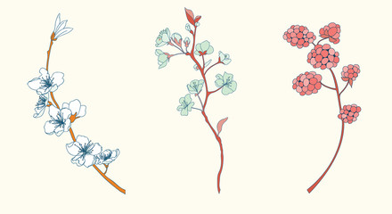 Cherry Flower Vector Illustration Element Set