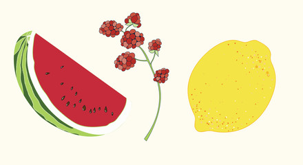 Summer Fruit Vector Illustration Elements