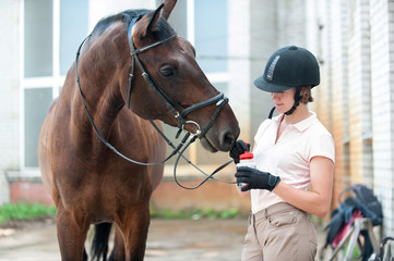 Lady coach taking care of chestnut horse hoof.
