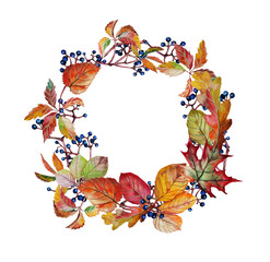  Watercolor autumn wreath with autumn leaves and grapes. Stock Illustration on white background