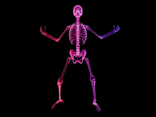 X RAY Skeleton 3D Render