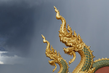 Fototapeta na wymiar serpent gold in front of the rain