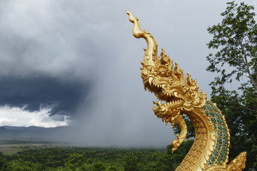 Fototapeta na wymiar serpent gold in front of the rain