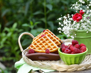 sweet waffles with berries for dessert, outdoor picnic © Olga Kriger