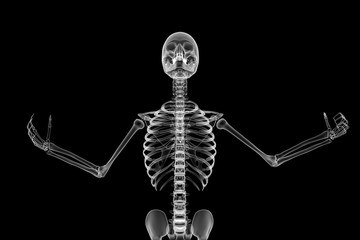 X RAY Skeleton 3D Render