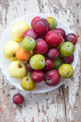 Apricots, early apples, mirabelle,  green plums (ume) and plums. Summer fruits on plate. 