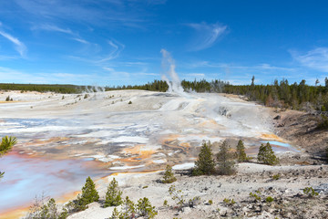 Norris geyser basin