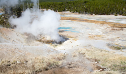 Norris geyser basin