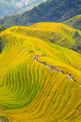 Zelfklevend Fotobehang Longji Rice Terraces © swisshippo