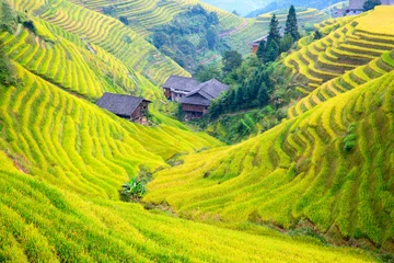 Tuinposter Longji Rice Terraces © swisshippo
