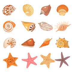 Sea shells and starfish color cartoon icons set