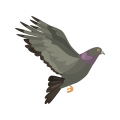 Flying pigeon high quality icon