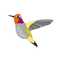 Flying hummingbird high quality color icon