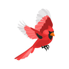 Flying red cardinal high quality color icon