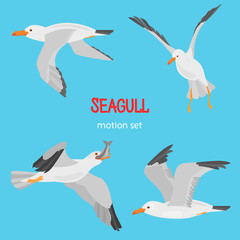 Fototapeta premium Seagull bird in dufferent motions color flat icons set