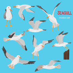 Seagull bird in dufferent motions color flat icons set