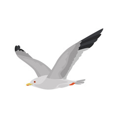 Flying seagull high quality color icon