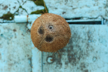 coco. tropical food. food background