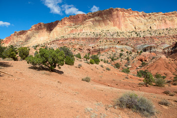 Fototapeta premium Capitol Reef