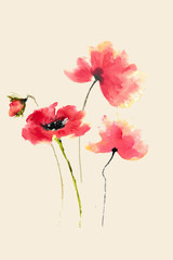 Red poppy flowers, watercolor hand painted