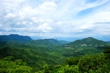 Fototapeta premium Landsacpe of forested mountain with the cloud and fog