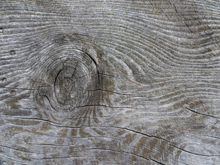 verwittertes Holz - weathered wood