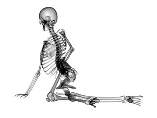 X RAY Skeleton 3D Render